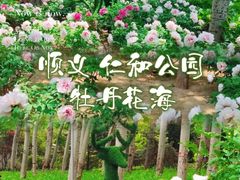 -仁和公园(顺义区)
