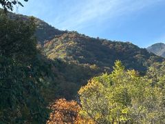 -阳台山自然风景区