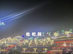 -枇杷园食为鲜火锅(南山店)