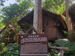 -海南槟榔谷黎苗文化旅游区