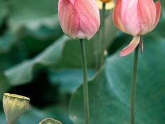 -梅州天地人花园酒店(梅县人民广场店)