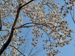 -白塘生态植物园