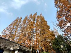 -枫泾古镇-人民公社旧址