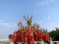 -南京市江宁方山