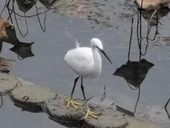 景点-龙潭水乡