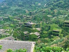 -枸杞岛
