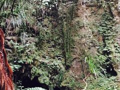 -怀托摩萤火虫洞