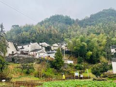 -新安江山水画廊风景区