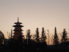 -洋湖国家湿地公园