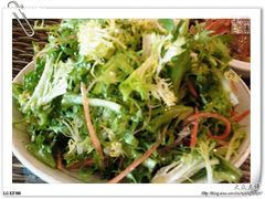 凉拌苦菊-普天和酒楼·新津菜·烤鸭(天津之眼店)
