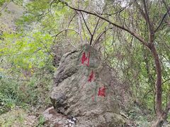 -北仑森林植物园