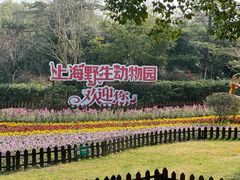 -上海野生动物园