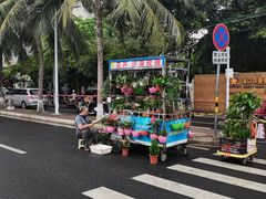 -海大南门夜市(海富街店)
