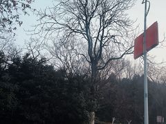 -云龙山