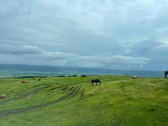 -阿苏山