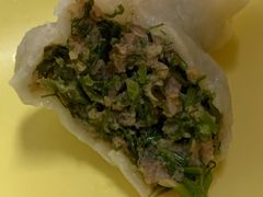 猪肉茴香蒸饺-新兴园饺子馆(北京百子湾店)