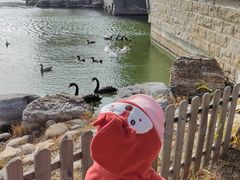 -天津东丽湖风景区