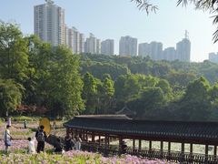 -龙头寺公园