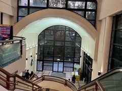 -香港大学