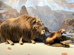 -陕西自然博物馆