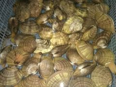 -龙宴海鲜城(经中路店)