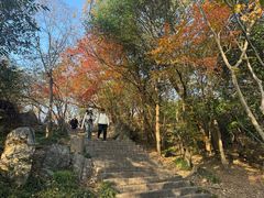 -紫金山山顶公园