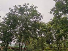-成飞公园