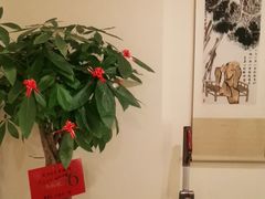 -悦享采耳·洗头头疗·推拿SPA(海沧万科旗舰店)