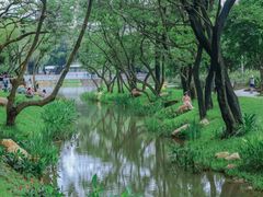 -人民公园(罗湖区)