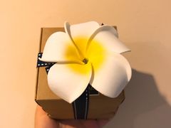 -DFS旗下塞班岛T广场(Saipan)