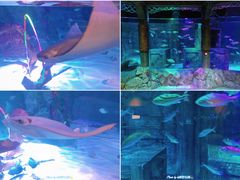 -沈阳海洋探索中心