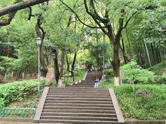 -峙山公园