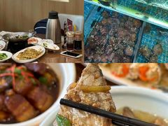 -洲晓鲜·舟山海鲜大排档(朱家尖风景区店)