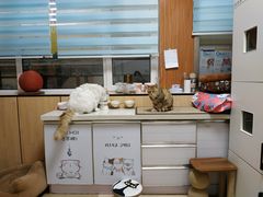 -瑞派雷欧宠物医院·24h夜诊·心脏骨科牙科·全科重症转诊中心(无影山店)