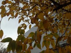 -中国民族乐器博物馆