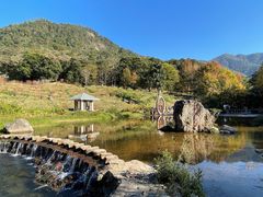 -广州市石门国家森林公园
