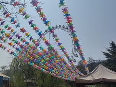 -富斯特索道