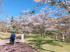 -神户市立六甲山牧场