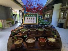 -爱伲牛肉火锅自助(景洪店)