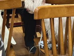 -观桥阁(锦溪店)