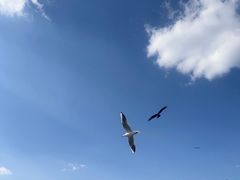 -海埂大坝