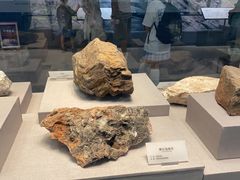 -湖南省地质博物馆