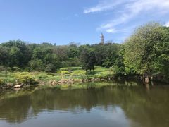 -巢湖姥山岛
