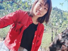 -南国桃园旅游度假区