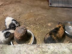 -青青世界