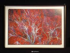 -罗红摄影艺术馆