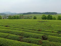 -凤凰沟景区