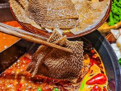 -冯校长老火锅(广州正佳广场店)