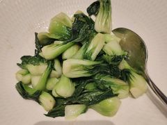 上海青苗-君庭中餐厅(友谊宾馆店)