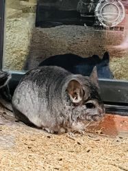 -酷嗒动物文化乐园(cutezoo西溪乐天城店)